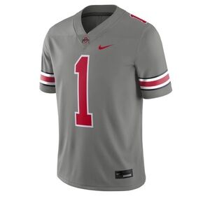 Nike Men's Ohio State Buckeyes Grey Dri-FIT Alternate Game Football Jersey